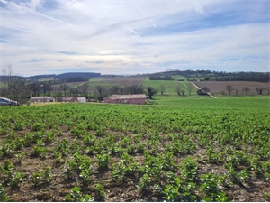 terrain à la vente -   32120  PUYCASQUIER, surface 1148 m2 vente terrain - UBI477742715